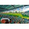 Yeovil Town FC - Huish Park Stadium Art Print 